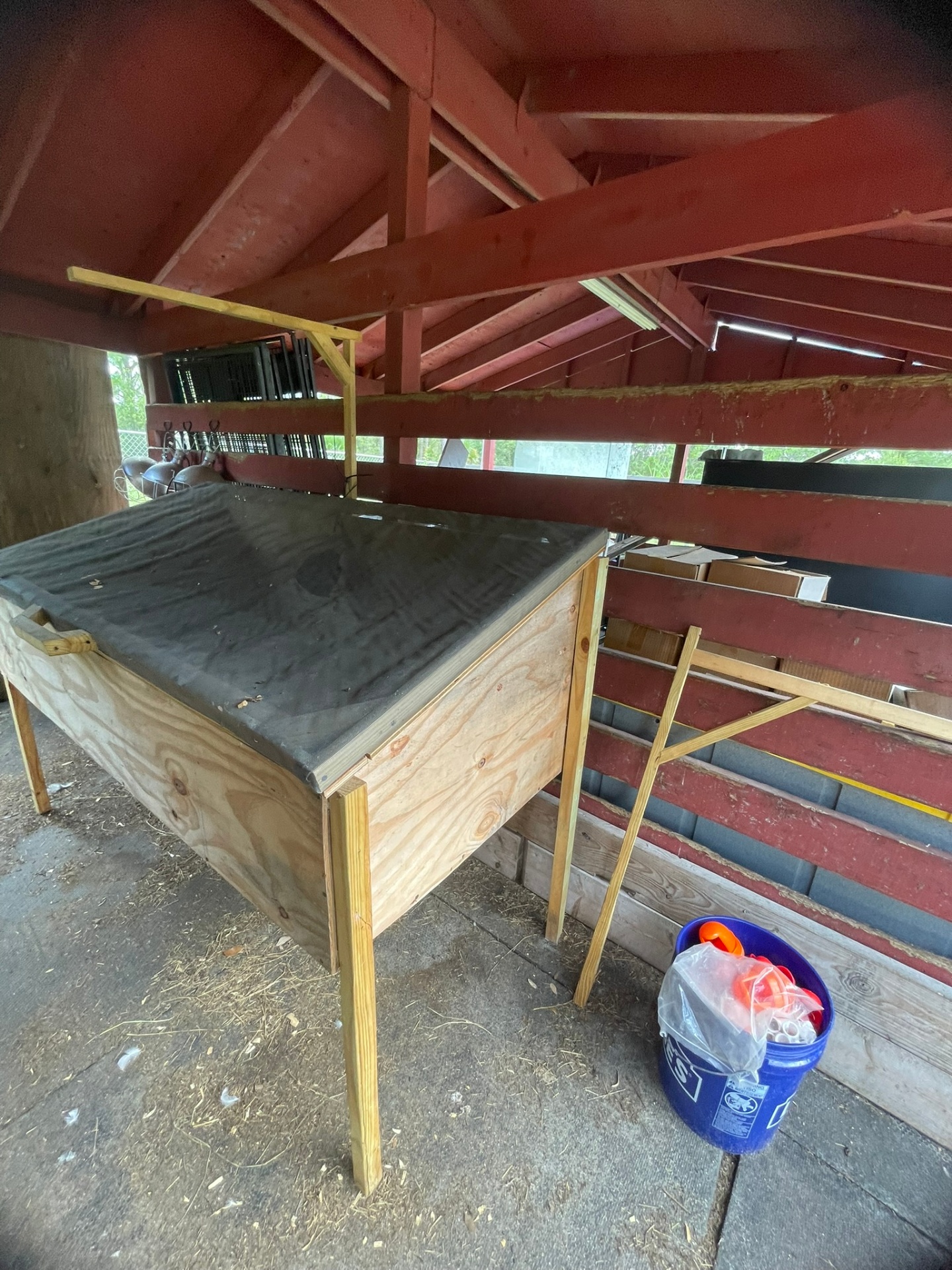 Tiki hut and outdoor living space